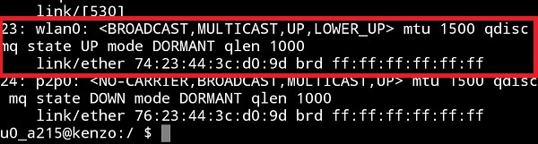 terminal emulator hack mac address